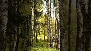 #belarus беларусь#природа#belarus #natureview&nbsp;#natgeo&nbsp;#nature&nbsp;#naturephotography#naturelovers