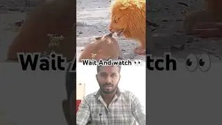 Prank Lion reaction 🐕 Dog Shocking #dogprank #viralprankvideo #prank #animals #shortsfeed #dog