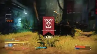 Destiny Elimination Invisible glitch