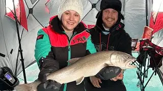 Rocky Mountain Ice Fishing for Big Trout