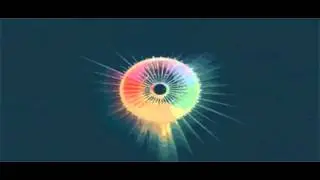 VIZIBLE- Everything