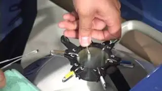 artificial insemination