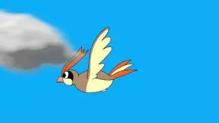 Pidgey's Evolution