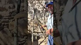 Instrumentos que necesita Mi Papa