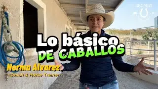 Inicios b&aacute;sicos