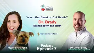 Is Yeast Really the Enemy? What Your Dog&rsquo;s Gut Is Trying to Tell You