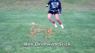 Mini Hurdle Drills