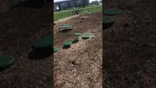 Hound mix with Rover Rescue