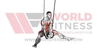 Ring Straddle L Sit Demo