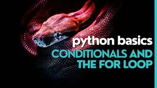 Python Basics: conditionals and loops