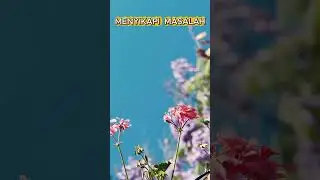 Menyikapi Masalah  #filosofihidup #katamutiara #inspirationalquotes #pengembangandiri #quotes