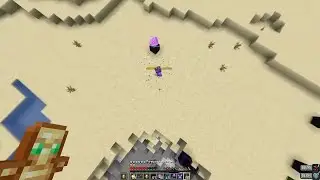 Learning Elytra mace