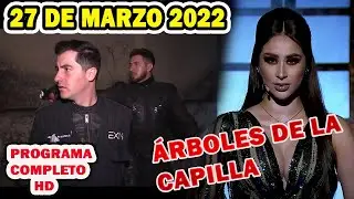 Extranormal 27 de marzo del 2022 - Arboles De La Capilla