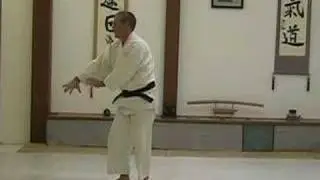 Forward Roll from Standing Position - SLOW MOTION
