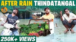 After rain thindatangal | Thirsty Crow | Ambani Shankar | omicron virus troll