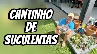 TRANSFORMEI essas SUCULENTAS e o RESULTADO ME SURPREENDEU! | Henrique Buttler