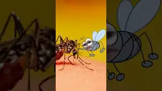 Mosquito sound 🦟 #soundeffects #mosquito #memes #funny #sound #music