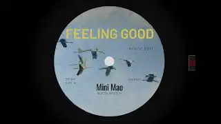 Mini Mao - Feeling Good (House Edit) #NN001