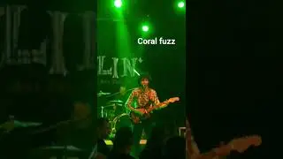 coral fuzz #garage #livemusic #garagerock #rock