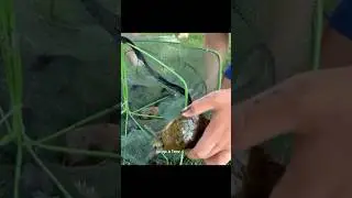 Fishing life lesson