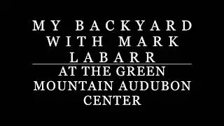 My Backyard with Mark LaBarr Episode 1