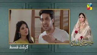Recap - Mere Damad Ep 19 - 20th January 2023 - HUM TV