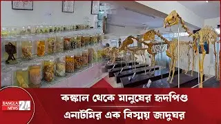 প্রাণীর দেহে বিজ্ঞানের গল্প যেন এক কঙ্কালপুরির রাজ্য! | Anatomy Museum | Science Exhibition