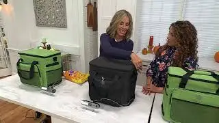 HALO 28L Capacity Thermoelectric Cooler & Heater Collapsible Bag on QVC