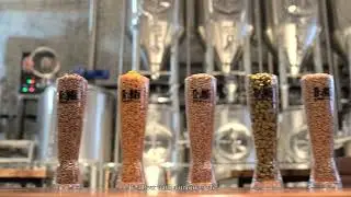 Brewing craft beer with Tiantai 600L/5BBL brewhouse system-7