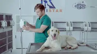 Animal Infusion Pump with Heater