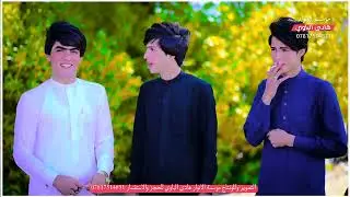 مو عرس يجنن شاهد 😳احله عرس بمحافظة البصره الثغر اجمل حفل زفاف الورد(سجاد عدنان البخيتاوي)اقوه عرس