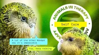 Self-care ft. Kakapo | Animals in Therapy | On the Edge