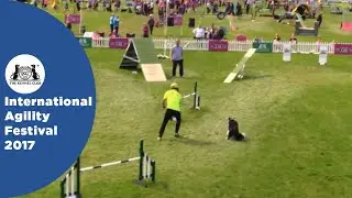 Special International Agility Large - Part 1 | International Agility Festival 2017