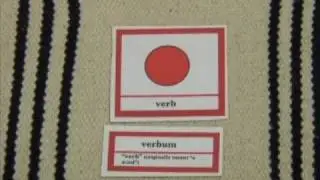Upper Elementary- Latin Box