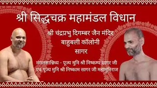 घटयात्रा • ध्वजारोहण • बाहुबली कॉलोनी • मुनिश्री निष्कम्पसागर जी व मुनिश्री निष्कामसागर जी #जिनशासन