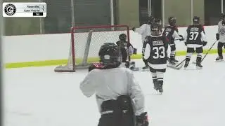 Story of the Game - Roseville Area Youth Hockey (RAYHA) Squirt A vs. Eden Prairie Squirt A