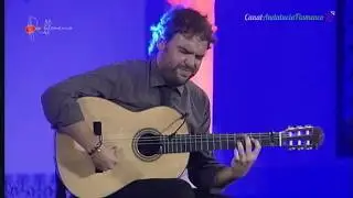 Guitarra. Dani de Morón. 2013