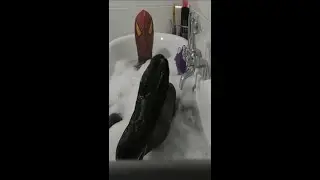 Spider-Man vs Venom Bath Time Transformation In Real Life, New Superhero Shorts