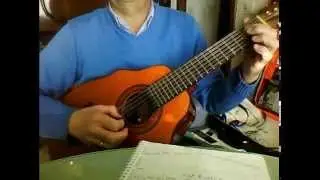 SEGUNDO TUTORIAL PARA APRENDER A TOCAR EL LAÚD FACILMENTE