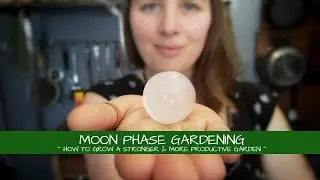 Moon Phase Gardening ~ For a Stronger & More Productive Garden