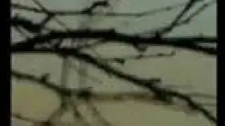 Skoud - System 3 Draft 2