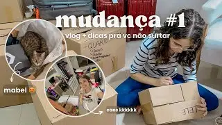 empacotando TUDO + dicas pra facilitar sua vida na mudan&ccedil;a 📦​ | di&aacute;rio da mudan&ccedil;a #1