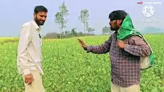 Arun rk ji 