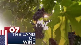 The Land Of: Wine