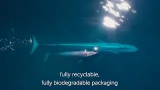 #Papkot2040 - We Promise a world of bio-sourced, fully biodegradable, fully recyclable packaging