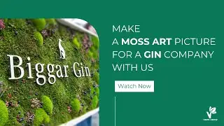 Make a moss wall art for a Gin Company with us | Biggar Gin | Verti-Grow