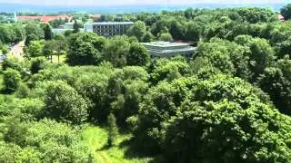 TU clausthal Wiese
