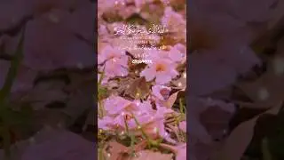 Heart Touching Quran Tilawat | Beautiful Recitation 🤍 #youtubeshorts #short