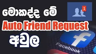 මොකද්ද මේ Auto Friend Request අවුල