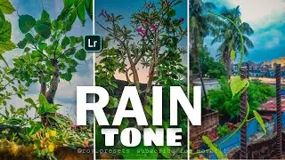Lightroom Rain preset | Colour boost | Lightroom tutorial | Lightroom mobile colour grading